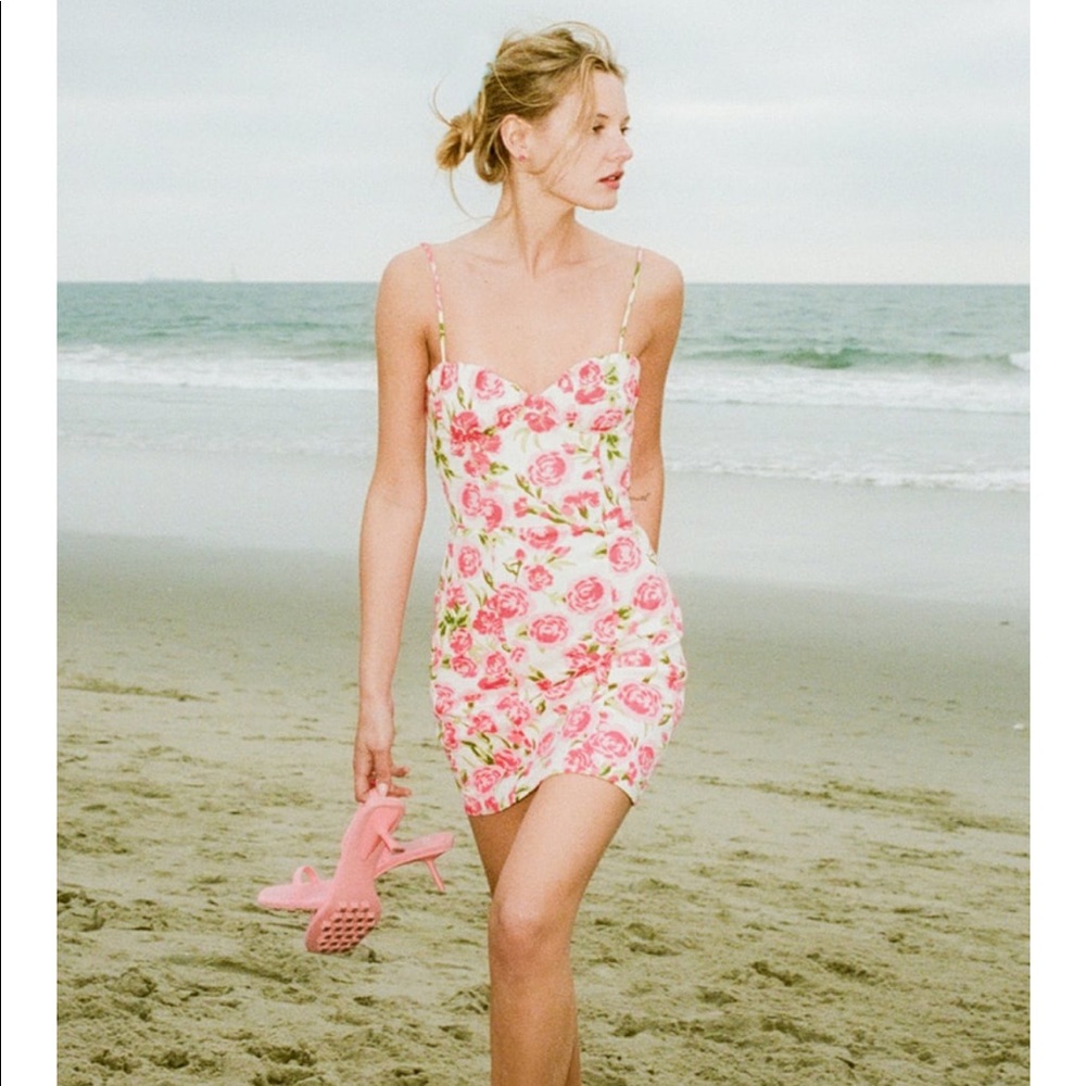 ❌SOLD❌Zara Bloggers Favorite Floral Corset Style Dress Small